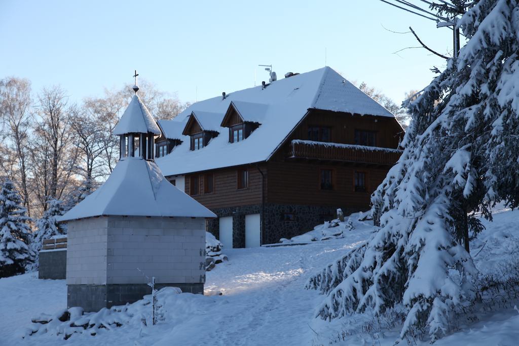 Hotel Koenig-In Hojsova Stráž Exterior foto